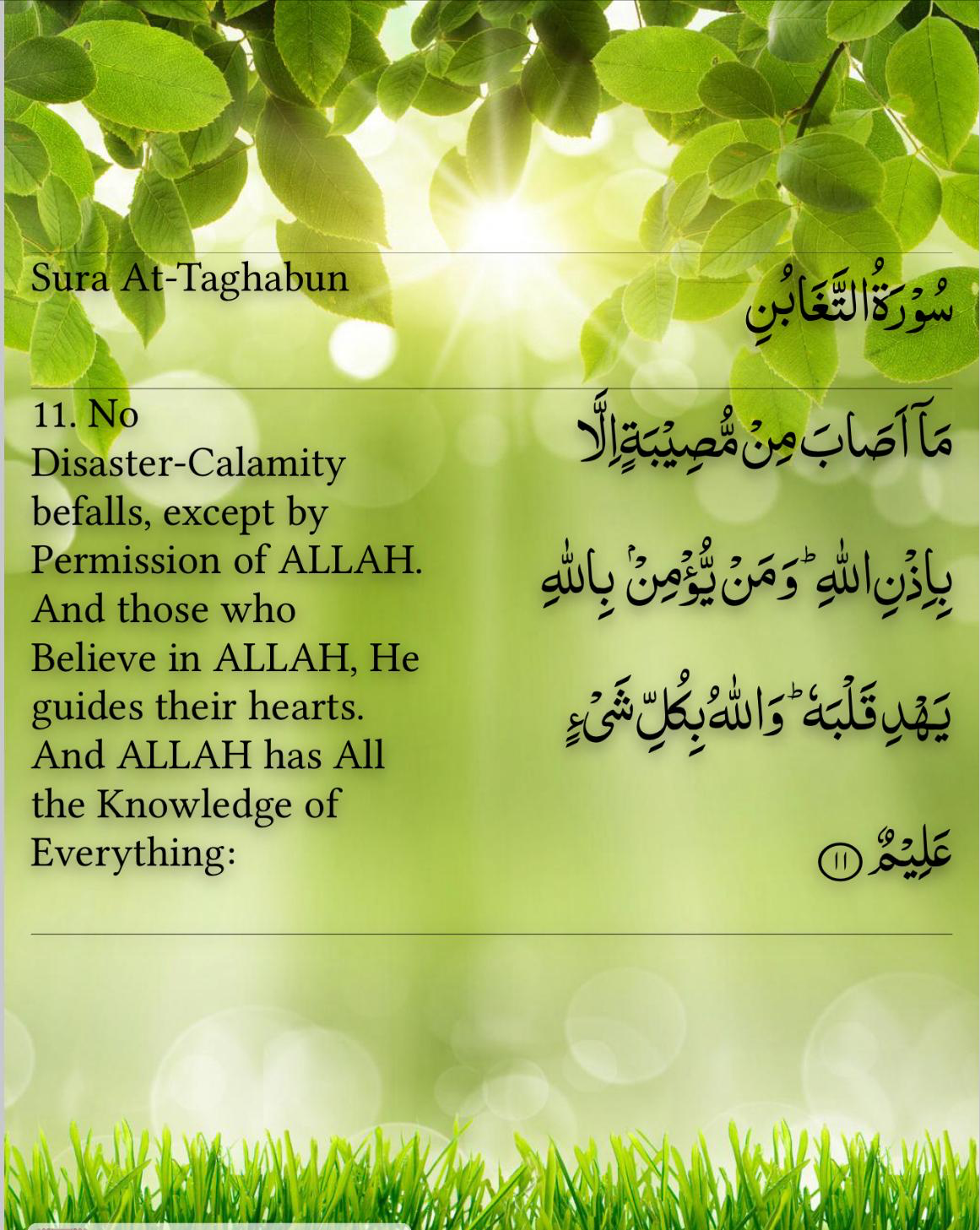 If you think that you want something, Allah will want it first before you want it. SubhanAllah. So, Allah Subh'anaHu Wa Ta-A'la says that this is the life. This is where you are sitting now. This is what you're going to do. Allah says, nothing is going to hit you unless it's by the permission of Allah. Allah allowed it to happen. You will hear this statement all the time from young people. Do you think Allah is regretful because he left us alone and we've ended up in this kind of situation? Do you think Allah Subh'anaHu Wa Ta-A'la forgot about us, and he doesn't care about his vision anymore? And he goes somewhere to cry over his mistake. These are the sentences that you hear there and there about psychology. In this region of psychology, again, I appreciate... I encourage everyone to study and learn psychology. But you need to link this with your religion. When you have to have a professional help and treatment from a professional psychologist or mental health provider, tell them that I'm Muslim, I go within the boundaries of my faith. Don't tell me something that goes against my faith. Don't just make me a person who worships my feelings, my emotions, my feelings and emotions come after my heart. What is my heart, my guidance, what Allah SWT plans for me, what I have to do to be in the right mode that Allah SWT wants me to do. Ibrahim Alayhi Salaam lived with toxic people, who was a toxic person with him, lived in his life, his father. Was he a toxic person? Yes. Was he threatening him? Yes. Was he a source of challenge for him? Yes. If Ibrahim Alayhi Salaam had gone to somebody who provides this service today, disconnected from religion, what he was going to tell him? Hey, you are a mature Muslim now, you are a grown up, you are an adult now. Why you have to keep in touch with this man if he gives you trouble? Look after your emotions and feelings, walk away from him. What did Ibrahim Alayhi Salaam do? He kept calling him ya Abati, my dear beloved father. I take good care of you; I am worried that you are going to be in trouble. I do this and he kept calling him, connecting him, even when his father passed away, he made dua for him. Only Allah stops him from doing that. Why? Because he knew that we have been created to face troubles in life and these examines or these trials or these situations, the hardships in our life are there for one purpose. What are there for? What the purpose, what the goal that they are trying to achieve? Al-Ridiyyah again, number 11 in Surah Taqaban, Surah number 64.