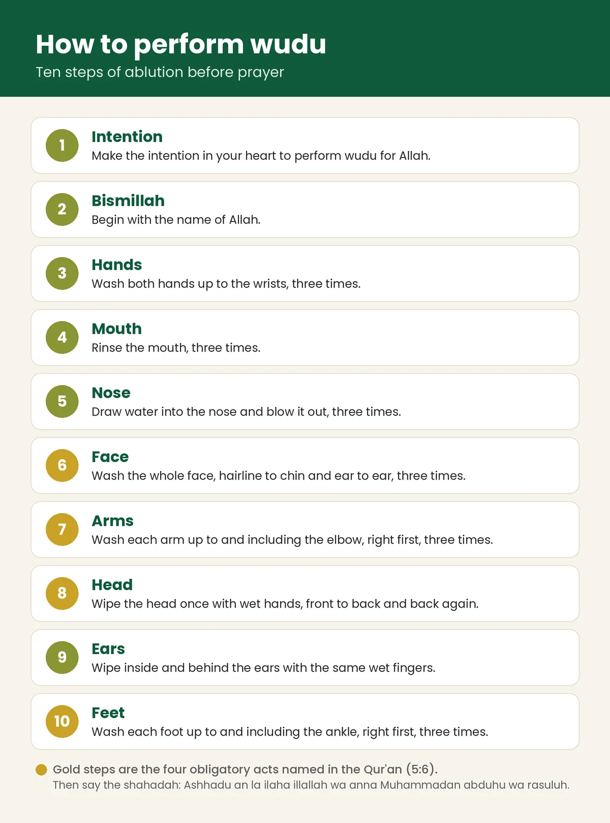Infographic of the ten steps of wudu: intention, bismillah, hands, mouth, nose, face, arms, head, ears and feet